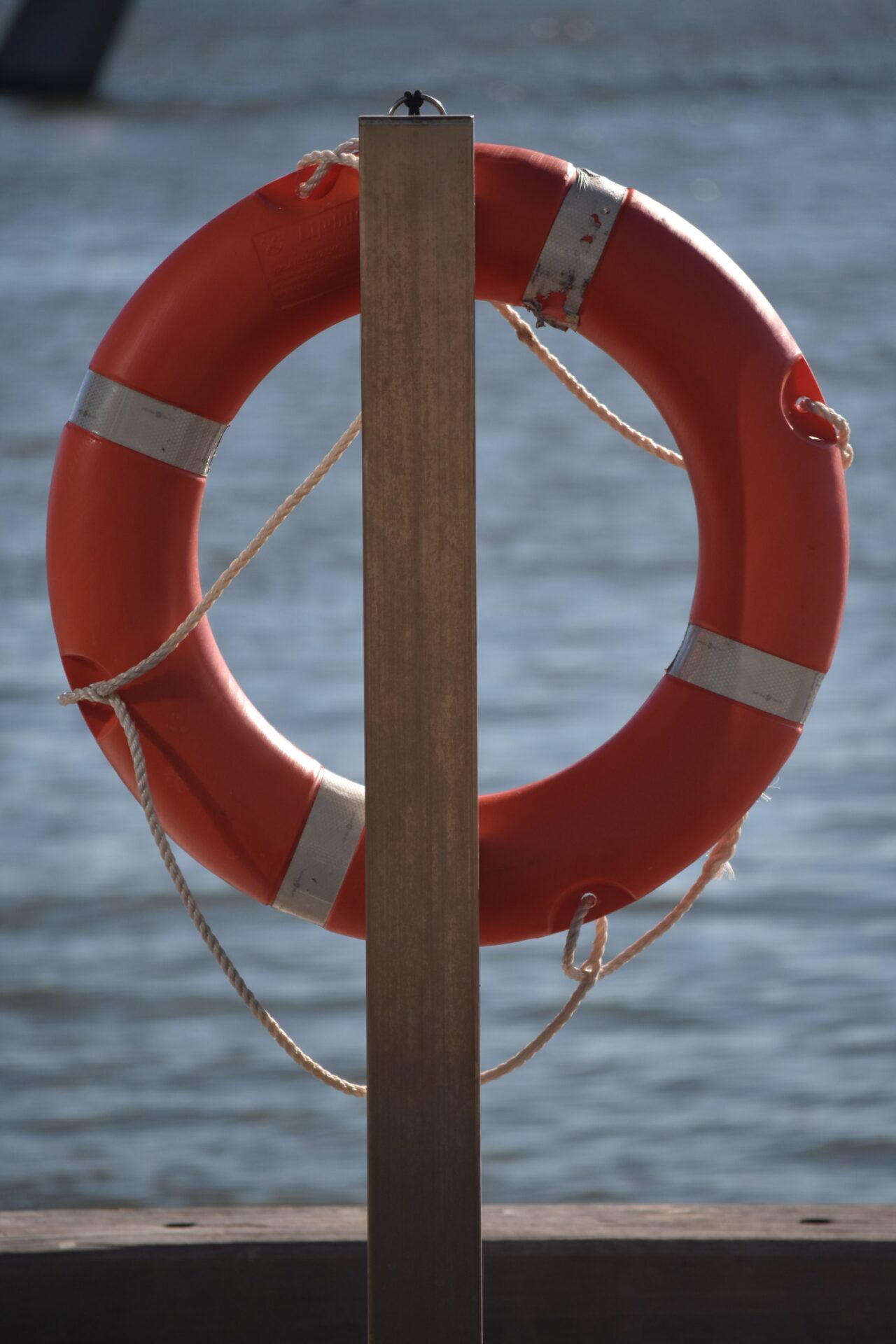 Drowning Deaths Up 58 in Lake Michigan Moen Sheehan Meyer