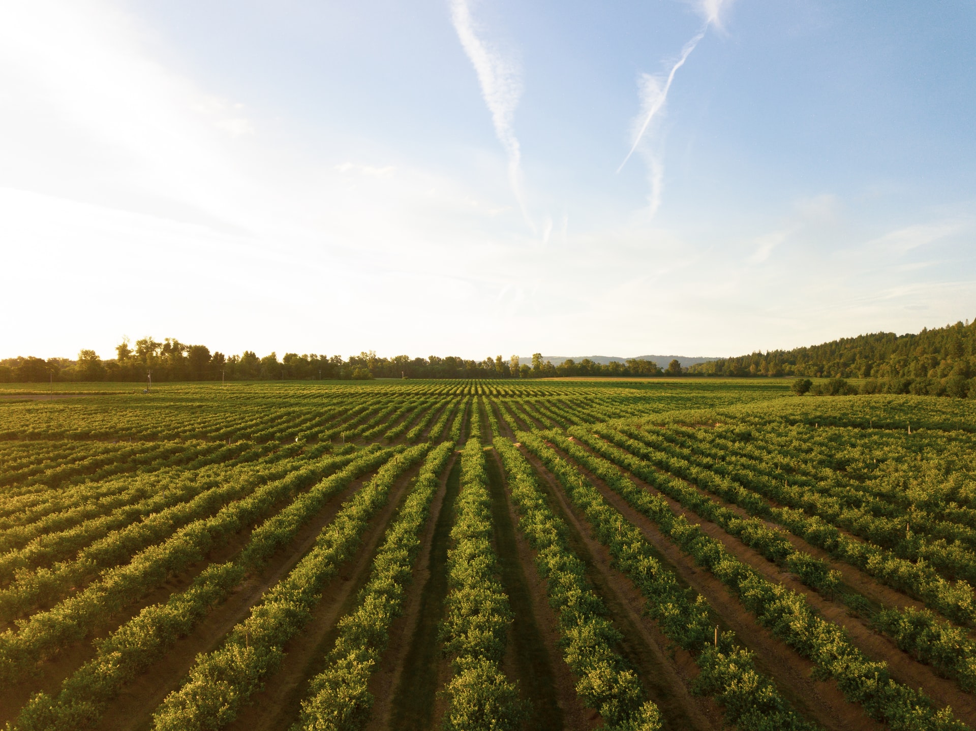 What Qualifies as a Farm in Wisconsin? - Moen Sheehan Meyer